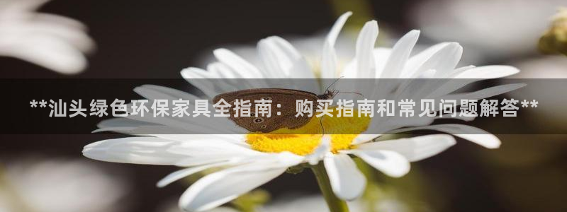杏耀平台线路测试