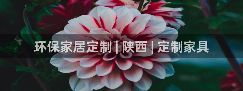 杏耀是什么平台