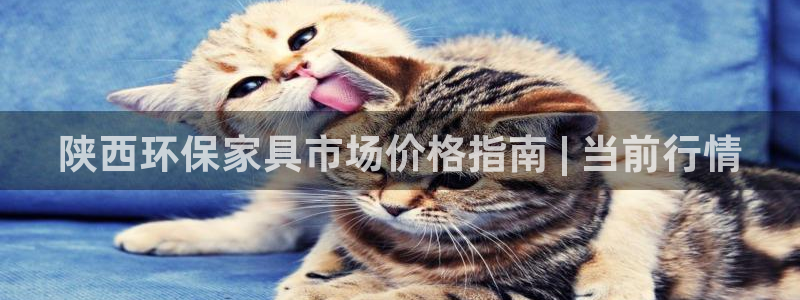 杏耀注册代理