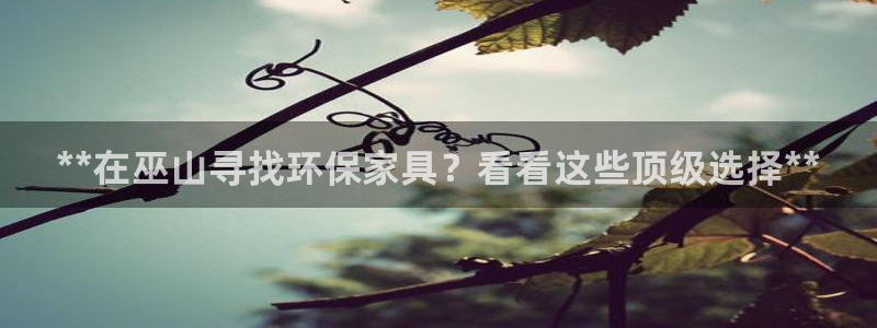 杏耀网页手机登录