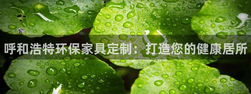 杏耀代理日工资多少