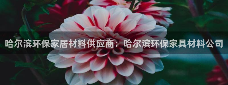 杏耀注册登录