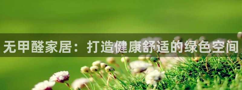 杏耀测速登录地址