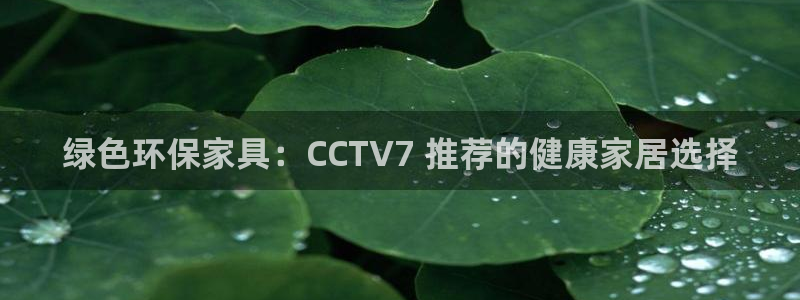 杏耀注册代理