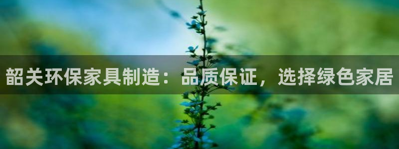 杏耀总代理：韶关环保家具制造：品质保证，选择绿色家居