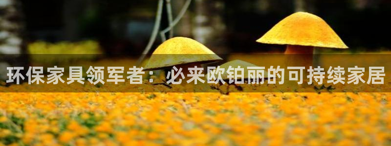 杏耀官网网站