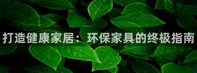杏耀平台代理登录网址是什么：打造健康家居：环保家具的终极指南