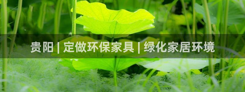 杏耀平台怎么样?：贵阳 | 定做环保家具 | 绿化家居环境