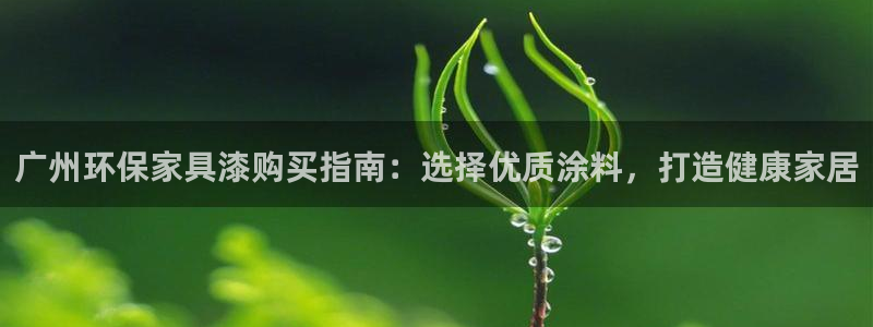 杏耀登录测速：广州环保家具漆购买指南：选择优质涂料，打造健康