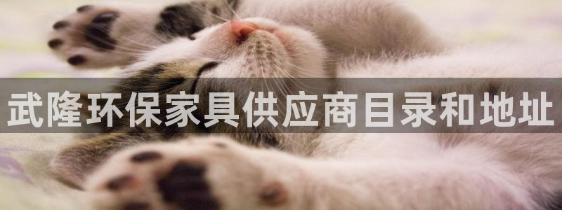 杏耀平台线路测试：武隆环保家具供应商目录和地址