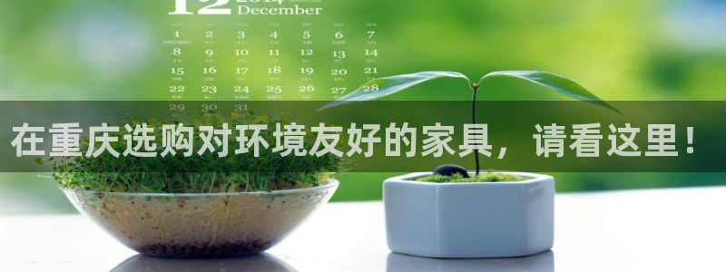 杏耀登陆：在重庆选购对环境友好的家具，请看这里！