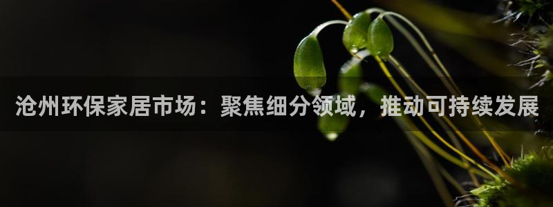 杏耀平台线路