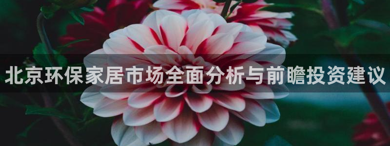 杏耀官方注册中心：北京环保家居市场全面分析与前瞻投资建议