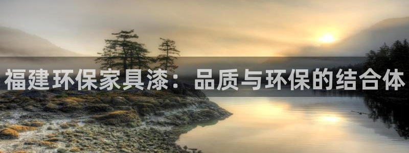 杏耀3代理：福建环保家具漆：品质与环保的结合体
