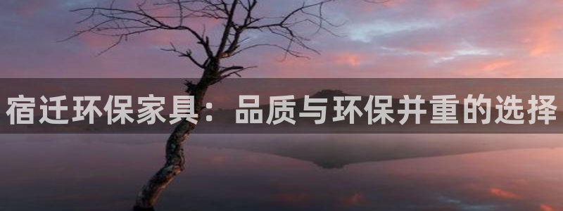 杏耀平台线路测速：宿迁环保家具：品质与环保并重的选择